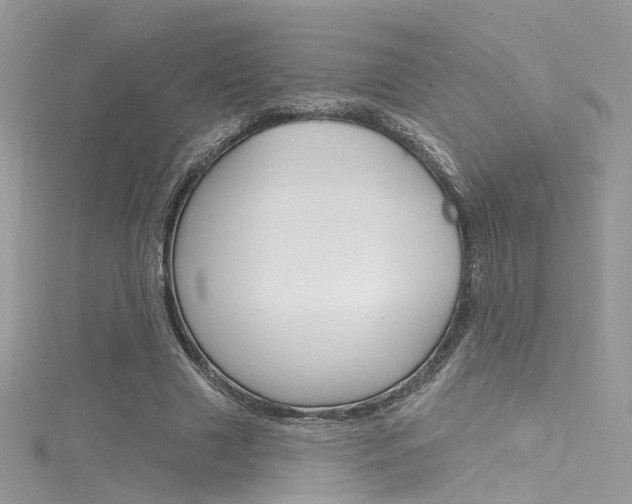 X0000116160633200911231041