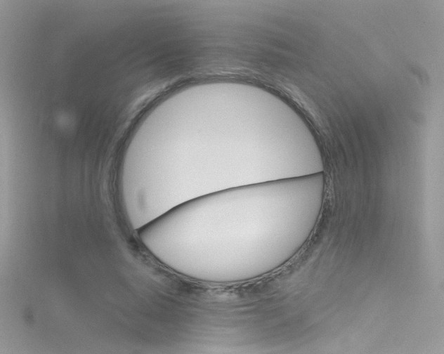 X0000116160640200911231041