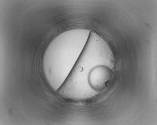 X0000116160646200911231041