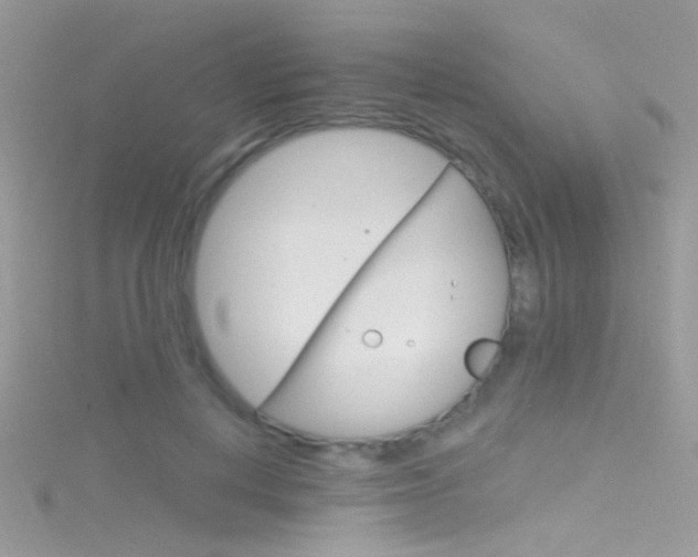X0000116160648200911231042