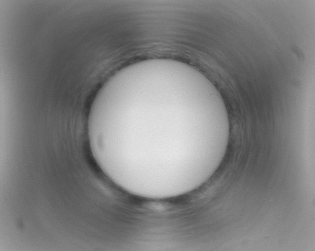 X0000116160654200911231042