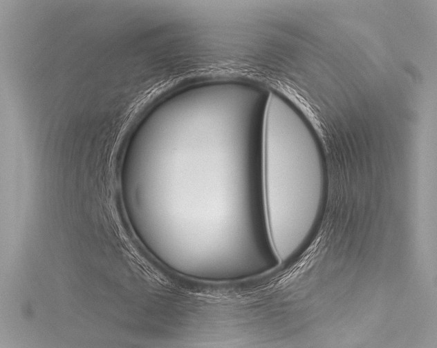 X0000116160673200911231041