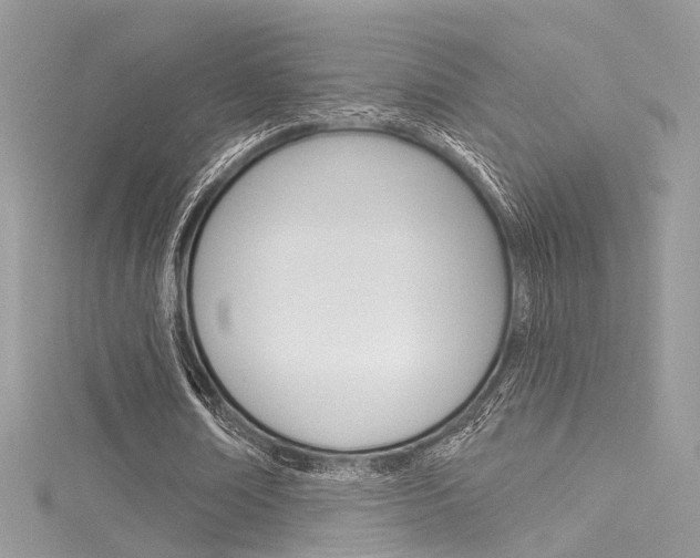 X0000116160674200911231041