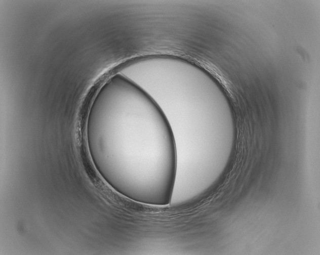 X0000116160680200911231041