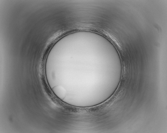 X0000116160682200911231041