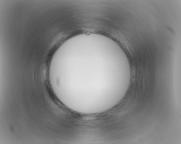 X0000116160694200911231041