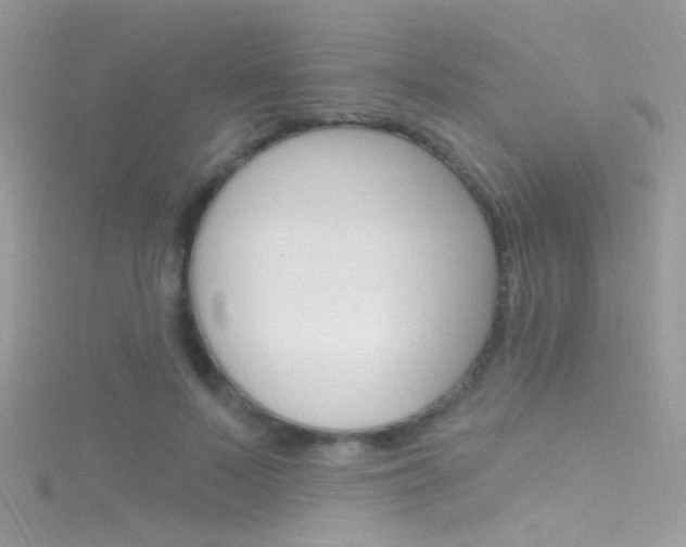 X0000116160695200911231041
