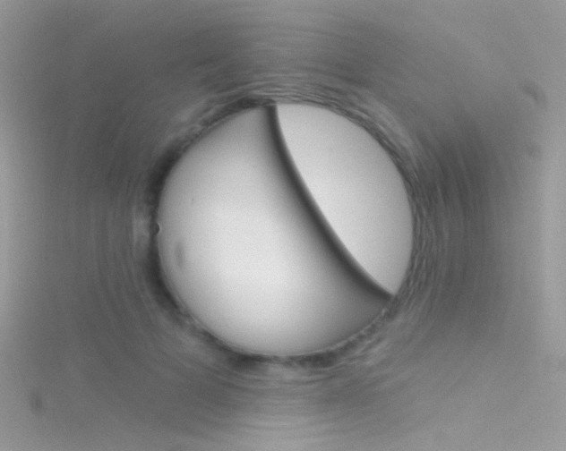 X0000116160697200911231041