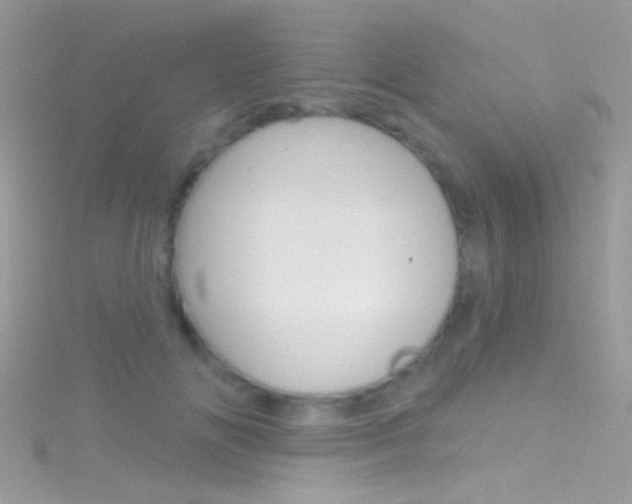 X0000116160702200911231041