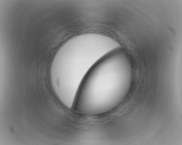 X0000116160750200911231040