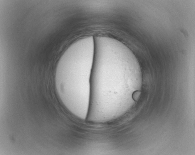 X0000116160751200911231040