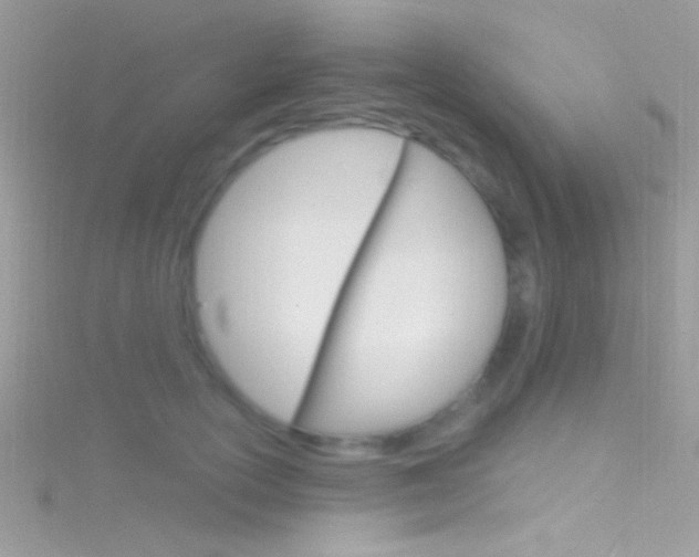 X0000116160754200911231040