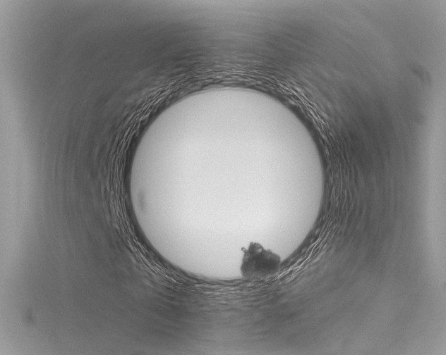 X0000116160769200911231040