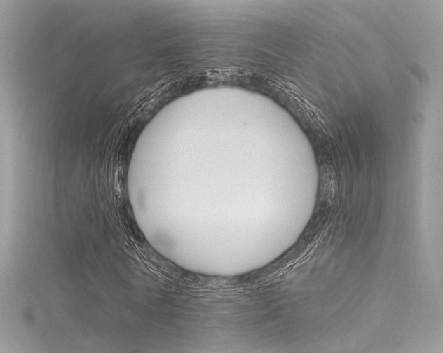 X0000116160770200911231040