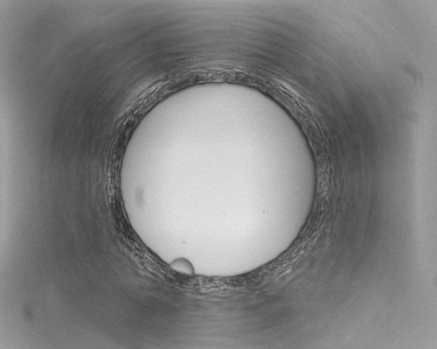 X0000116160774200911231040