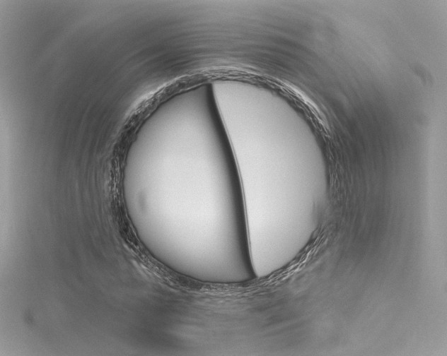 X0000116160775200911231040