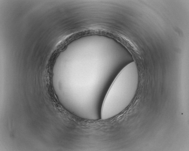 X0000116160776200911231040