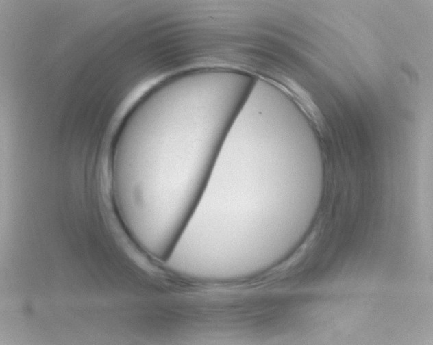 X0000116160796200911231039