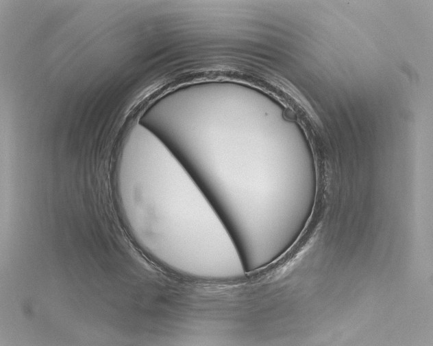 X0000116160826200911231039