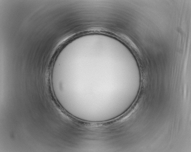 X0000116160831200911231039