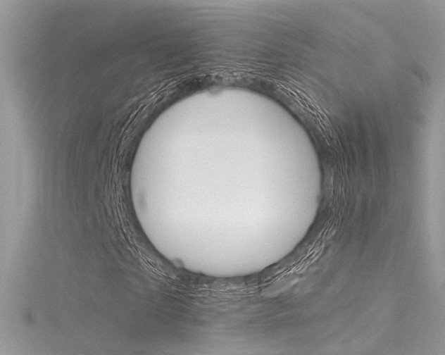 X0000116160865200911231038