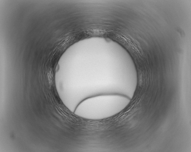 X0000116160866200911231038