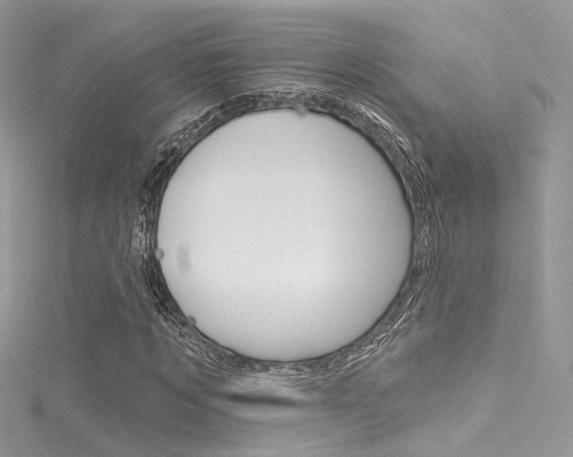 X0000116160869200911231038