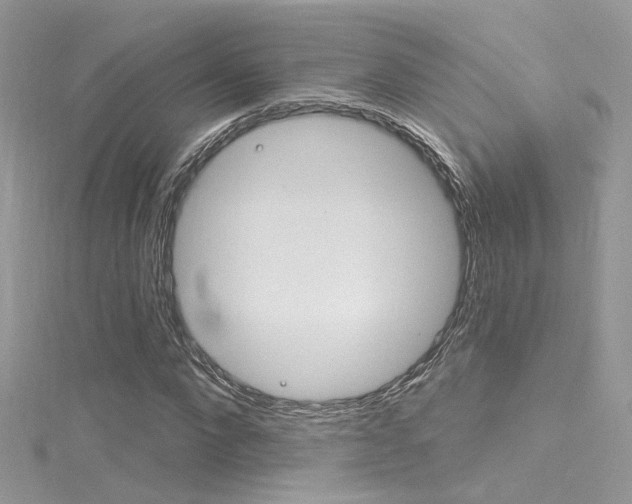 X0000116160872200911231038
