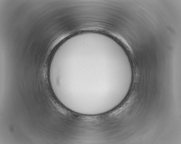 X0000116160874200911231038