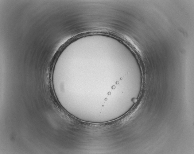 X0000116160875200911231038
