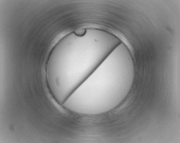 X0000116160898200911231038