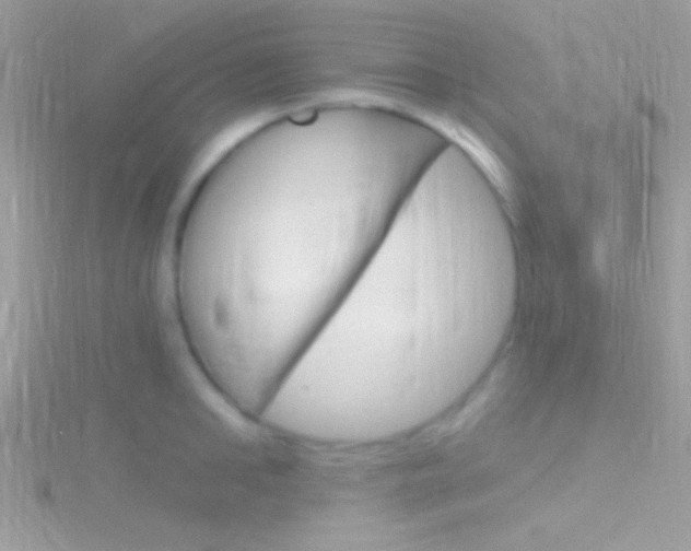 X0000116160902200911231038