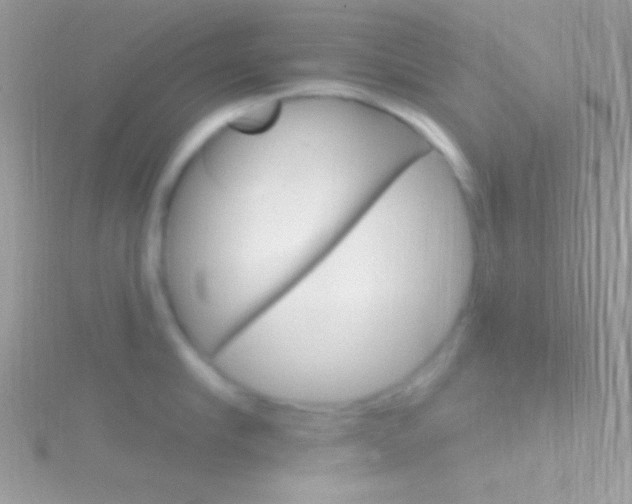 X0000116160910200911231038