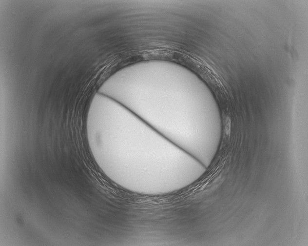 X0000116160915200911231037