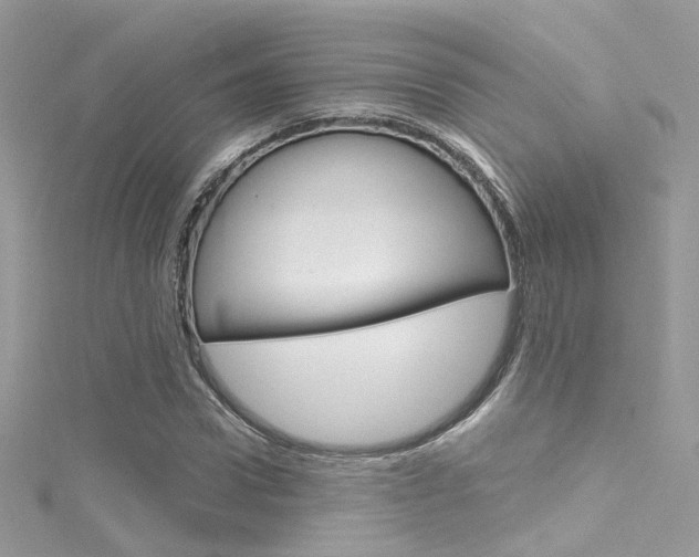 X0000116160922200911231037
