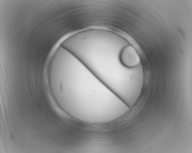 X0000116160955200911231037