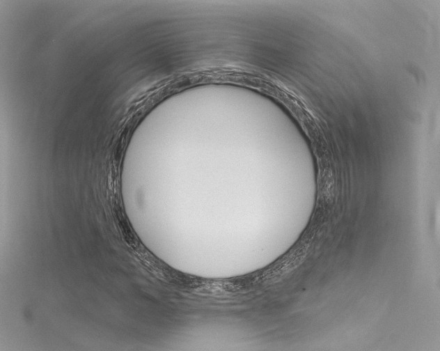 X0000116160966200911231037