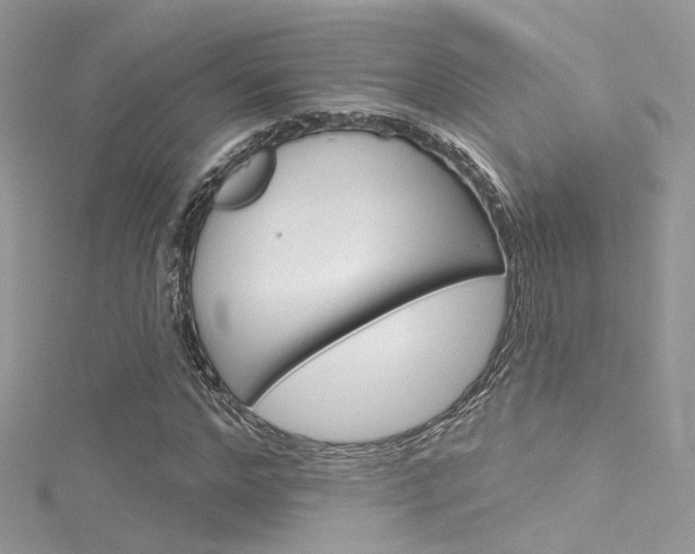 X0000116160968200911231037