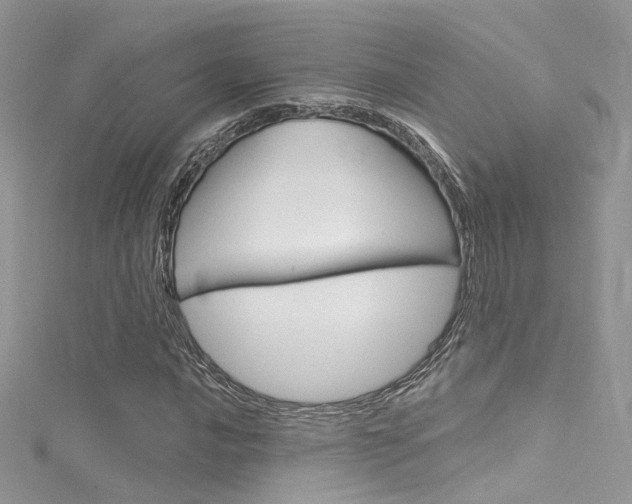 X0000116161016200911231036