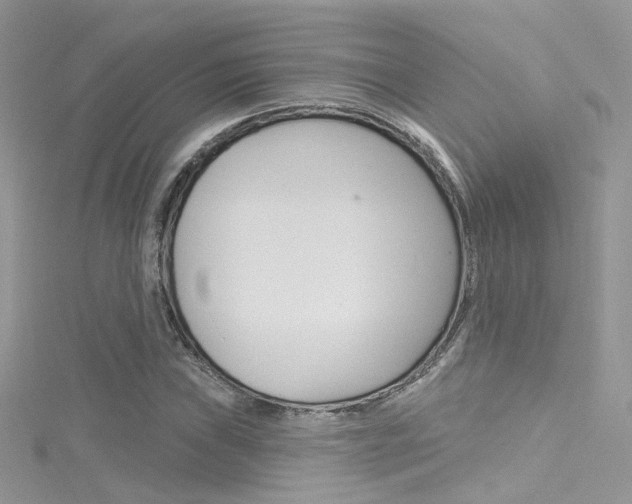 X0000116161019200911231036