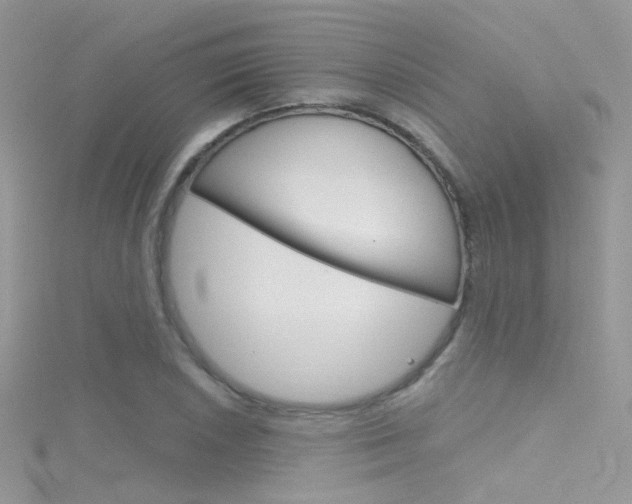 X0000116161026200911231036