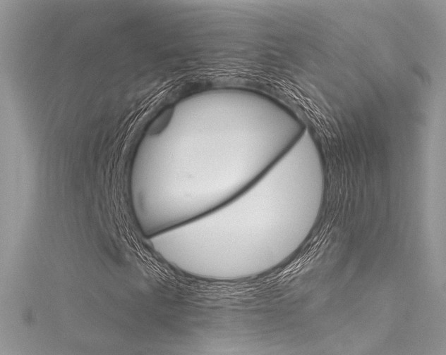 X0000116161057200911231036