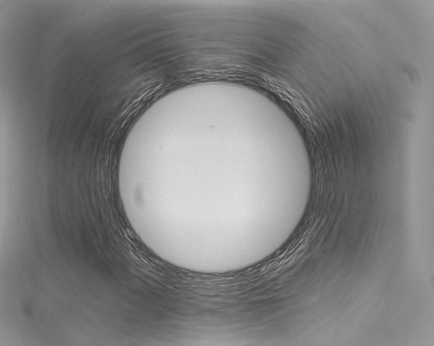 X0000116161060200911231036