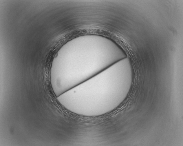 X0000116161062200911231036