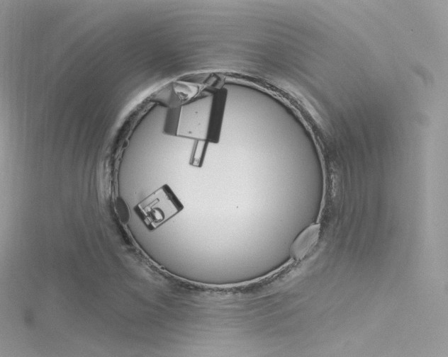 X0000116161069200911231035