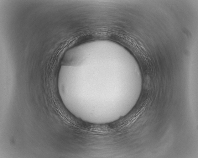 X0000116161201200911231033