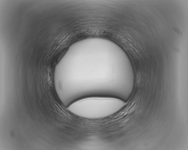 X0000116161202200911231033