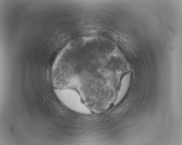 X0000116161203200911231033