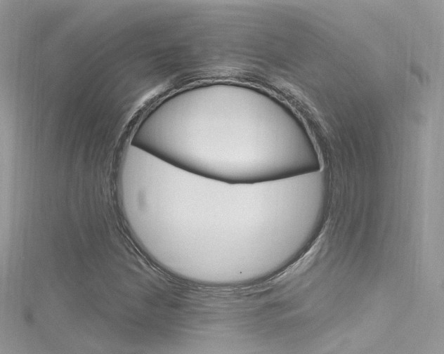 X0000116161210200911231033