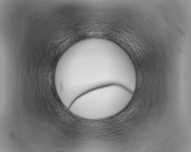 X0000116161250200911231033